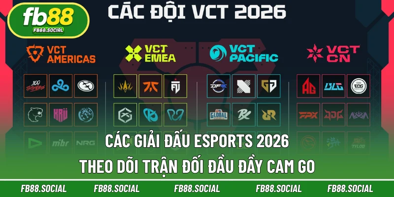 Các Giải Đấu Esports 2026 - Theo Dõi Trận Đối Đầu Cam Go