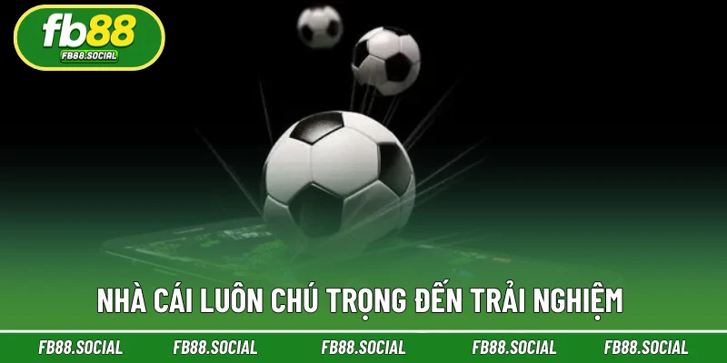 Nhà cái luôn quan tâm đến chất lượng trải nghiệm 